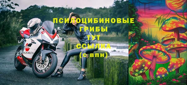 трава Нефтегорск