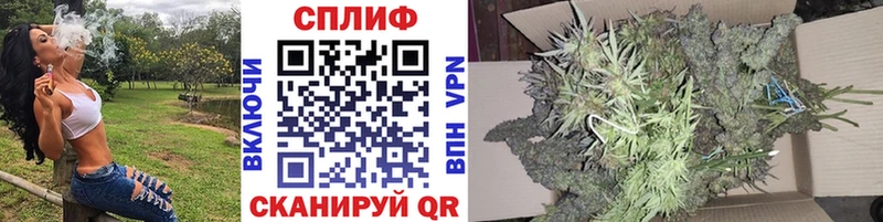 МАРИХУАНА ГИДРОПОН Купить где Суджа